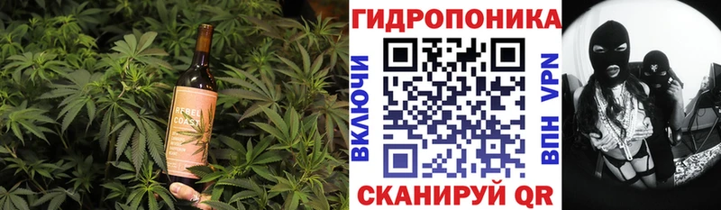 Cannafood конопля  купить наркоту  Ревда 