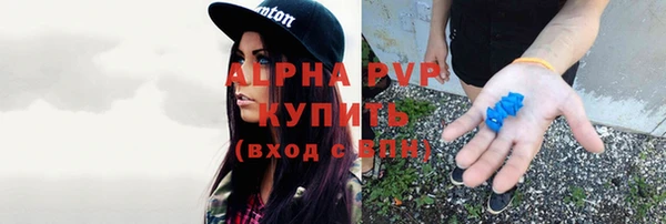 крисы Арсеньев