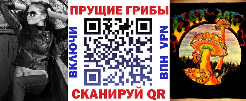 МЕГА ТОР  Ревда  Псилоцибиновые грибы Psilocybe 