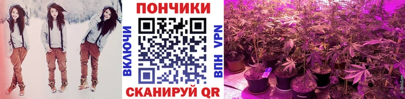 Бошки марихуана White Widow Ревда